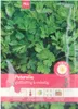 Petersilie Einfache Schnitt | Petersiliensamen von Carl Produktbild-Vorschau 4