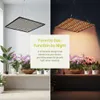 45W LED-Pflanzenlampe, 256 VollspektrumLEDs, 3 cm Produktbild-Vorschau 2