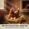 Agrarzone mangime biologico per galline ovaiole Farina per Anteprima dell’immagine prodotto 3