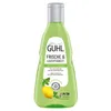Guhl Frische und Leichtigkeit Anti Fett Shampoo 250ml 4er Produktbild-Vorschau 2