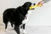 Bone Chew Mit Quietschwürfel Hundspielzeug Produktbild-Vorschau 16