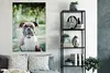 MuchoWow® Poster Ein Boxer mit schönen Sonnenstrahlen Produktbild-Vorschau 4