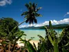 CALVENDO Puzzle Anse a la Mouche, Mahe, Seychellen | 1000 Produktbild-Vorschau 3