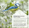 Fenster-Futterhaus Clever Produktbild-Vorschau 6