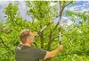 Gardena Teleskop-Astschere Telecut Basic für frische Äste, Produktbild-Vorschau 17