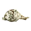 Bílá šalvěj – Vykuřovadlo 15-20 g (pochodeň) Náhled obrázku produktu 3