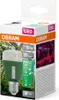 Osram LED Star Grow Lamp T60 10W E27 bianco/viola/blu Anteprima dell’immagine prodotto 5