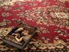 80x150 cm Kawałek dywanu Samira New Red 12001-011 Podgląd zdjęcia produktu 4