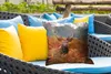 MuchoWow® Outdoor Kissen - Hirsch - Baum - Herbst - 50x50 Produktbild-Vorschau 4