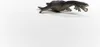 Dinosauri Schleich 15031 Nothosaurus Anteprima dell’immagine prodotto 5