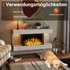 A modern electric fireplace with a dog lying in front of it. Anteprima dell’immagine prodotto