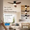 Plafondventilator van 100 cm met verlichting en Productafbeelding-voorbeeld 5
