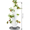 Gusta Garden SISSI STRAWBERRY starter samozavlažovací Náhled obrázku produktu 11