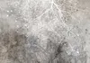 Selbstklebende Folie Fototapete - Clear Branching 392x280 Produktbild-Vorschau 5