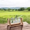 Vasen zum Bewurzeln, Vermehren, Pflanzen, Stecklinge, Produktbild-Vorschau 7
