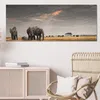 DEQORI Hybrid Leinwand Bild 150x60 cm 'Savannen Dämmerung' Produktbild-Vorschau 4