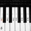 kwmobile Klavier Keyboard Noten Aufkleber - für 49 61 76 88 Produktbild-Vorschau 6