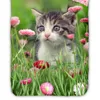 ESPiCO Bettwäsche Trendy Bedding Jacky Renforcé, Größe:135 Produktbild-Vorschau 3