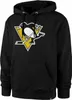 Pittsburgh Penguins NHL Imprint Burnside Pullover Hoodie Produktbild-Vorschau 1