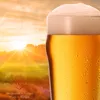 PLATINUX Biergläser Set 6 Stück 500ml (max. 568ml) Pint Produktbild-Vorschau 6
