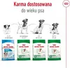 Royal Canin Hundetrockenfutter Adult Mini 2 kg Geflügel Produktbild-Vorschau 4