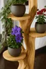 Blumenständer mit 4 Ablagen Blumenpodest Pflanzenständer Produktbild-Vorschau 3
