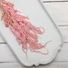 Stabilisiertes Amaranth - Amaranth - Rosa Produktbild-Vorschau 6