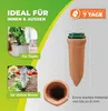 Tonkegelbewässerung 4 Stk. 'Hydro Classic' für 1 L Produktbild-Vorschau 6