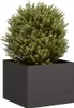 Maison Exclusive - Pflanzkübel Schwarz 40x40x30 cm Stahl Produktbild-Vorschau 1
