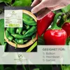 Chili Samen (Early Jalapeno, 5.000 Scoville) - Chili Produktbild-Vorschau 2