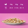 A size chart for cat food, showing feeding recommendations based on cat weight and product size, with a bowl of cat food below. Produktbild-Vorschau