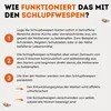 Schlupfwespen gegen Lebensmittelmotten - (4 Karten á 1 Produktbild-Vorschau 4