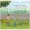Attrezzature per l'agility per cani PawHut, set per agility Anteprima dell’immagine prodotto 6