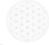 Carry Trinkflasche 1l Flower of Life  , klar Produktbild-Vorschau 3