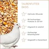 Supravit Taubenfutter Basis 5 kg | Körnermischung Produktbild-Vorschau 2