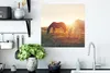 MuchoWow® Poster Pferde - Sonne - Tiere 50x50 cm - Produktbild-Vorschau 3