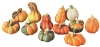 12 kleine Deko Kürbisse aus Terracotta, Halloweendeko, Produktbild-Vorschau 2