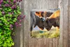 MuchoWow® 50x50 cm Outdoor-Poster Gartendeko Sichtschutz Produktbild-Vorschau 5