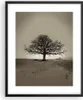 Gerahmtes Poster - Schwarzer Rahmen - Baum Schnee Sepia - Produktbild-Vorschau 1