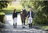 Veste de concours Ekkia EQUITHÈME femme noire avec or rose, Voir les images du produit 11
