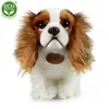 Peluche King Charles Spaniel 25 Cm Ecologico Anteprima dell’immagine prodotto 9