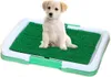 Tappetino da toilette per cani Tappetino da addestramento Anteprima dell’immagine prodotto 2