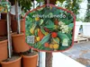 Erdbeerbaum | 120 cm | Arbutus unedo | veredelt |  | Produktbild-Vorschau 7