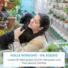 Futeco® – SF-Nematoden (5 Mio.) gegen Trauermücken – für 50 Produktbild-Vorschau 7