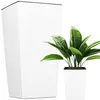 Květináč Prosperplast | Urbi Square | Bílá | 24 cm Náhled obrázku produktu 1