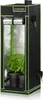 A black and green grow tent with two small plants inside, shown against a white background. Náhled obrázku produktu