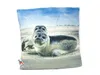 Stoffkissen - Seehunde - 35x35 Produktbild-Vorschau 2