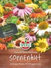 SPERLI Sonnenhutsamen Paradiso Dwarf Echinacea purpurea 18 Produktbild-Vorschau 1