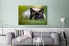 OneMillionCanvasses® - Leinwandbilder - 140x90 cm, Katze - Produktbild-Vorschau 2