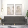 vidaXL Canapé-lit 2 places avec 2 coussins Tissu gris foncé Voir les images du produit 2